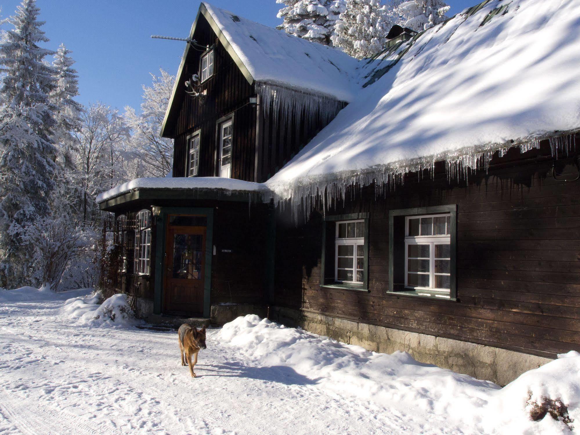 Apartment Lesniczowka Anna *
